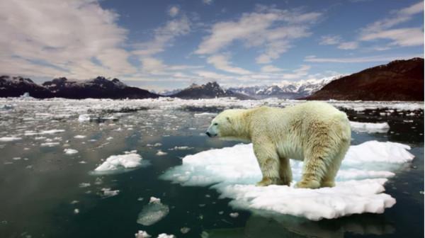 人類正處於第六次大滅絕前期?研究者:本世紀末或有50%物種消失 人類正處於第六次大滅絕前期?研究者:本世紀末或有50%物種消失