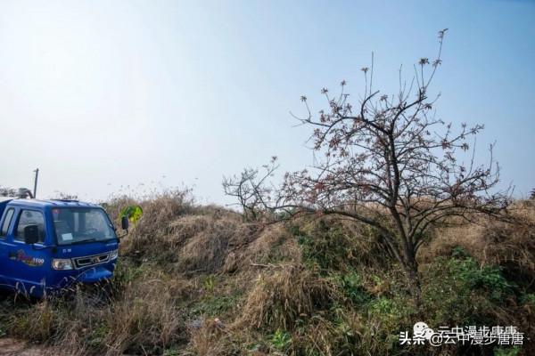行走的風景——嶽池伏龍之二