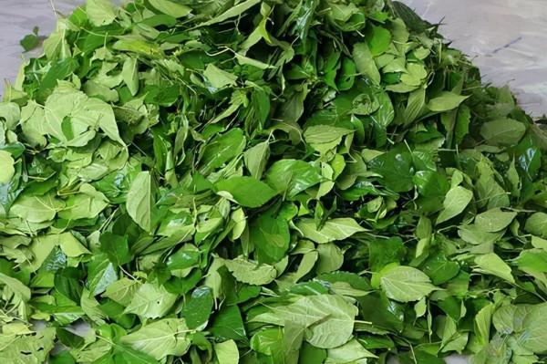 這個《長津湖》的取景地,沒想到還是座隱藏的美食天堂 這個《長津湖》的取景地,沒想到還是座隱藏的美食天堂