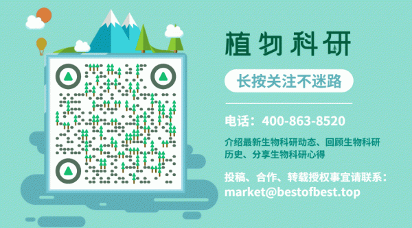 楊樹木材相關轉錄因子高通量篩選系統及其在木質素調控中的應用 楊樹木材相關轉錄因子高通量篩選系統及其在木質素調控中的應用