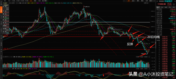 醫療本週大漲8&percnt;，白酒行情還未結束！重倉的朋友看過來