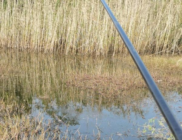 立冬後降溫明顯,如何根據天氣,抓住釣魚最後的“視窗期” 立冬後降溫明顯,如何根據天氣,抓住釣魚最後的“視窗期”