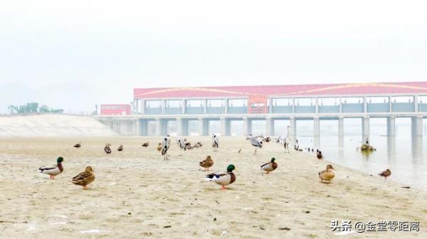 金堂來了一群特殊的客人