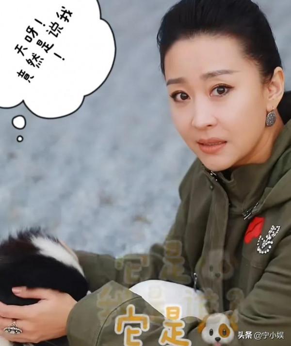 影視圈迎來40+女演員翻紅熱潮？梅婷霸屏，苗圃活躍，殷桃獲好評