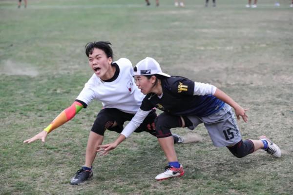 在公園玩了一局飛盤後,我發現自己人不如狗 在公園玩了一局飛盤後,我發現自己人不如狗