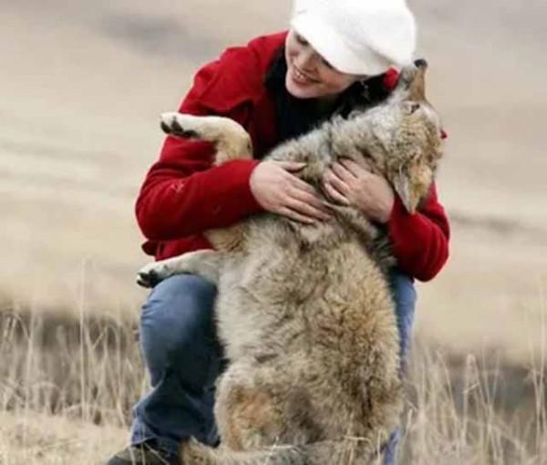 11年前，把狼當兒子帶回家的成都女孩，10年後在草原與它再次相認