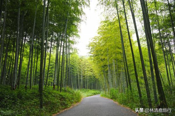 中國首獲聯合國人居獎的縣級市，茶不錯水好喝，夏天避暑很舒服