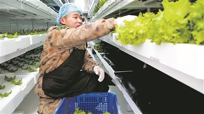 點亮昆木加:西藏軍區情繫基層破解邊防哨所用電難題,海拔4900米的雪域哨所用上了長明電 點亮昆木加:西藏軍區情繫基層破解邊防哨所用電難題,海拔4900米的雪域哨所用上了長明電