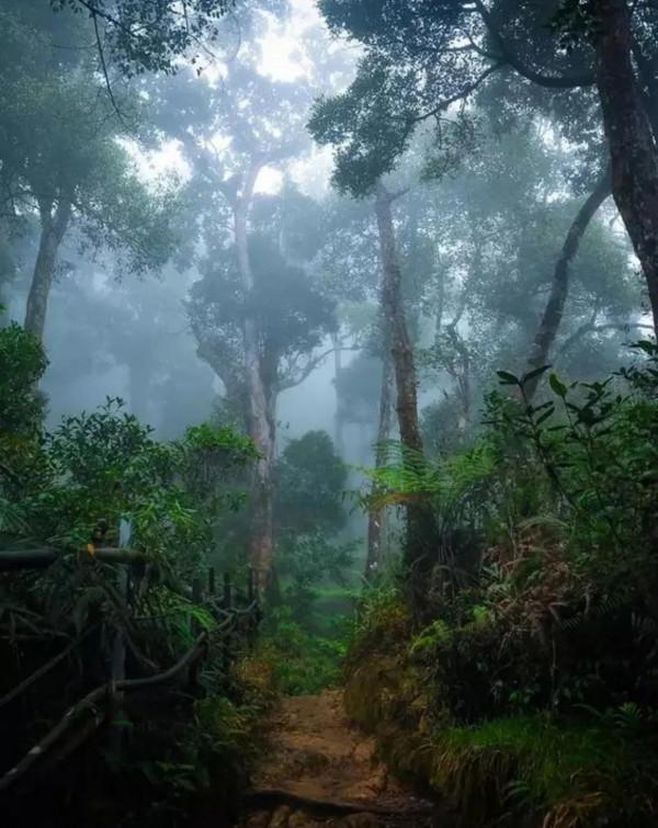 窮人不能缺野心