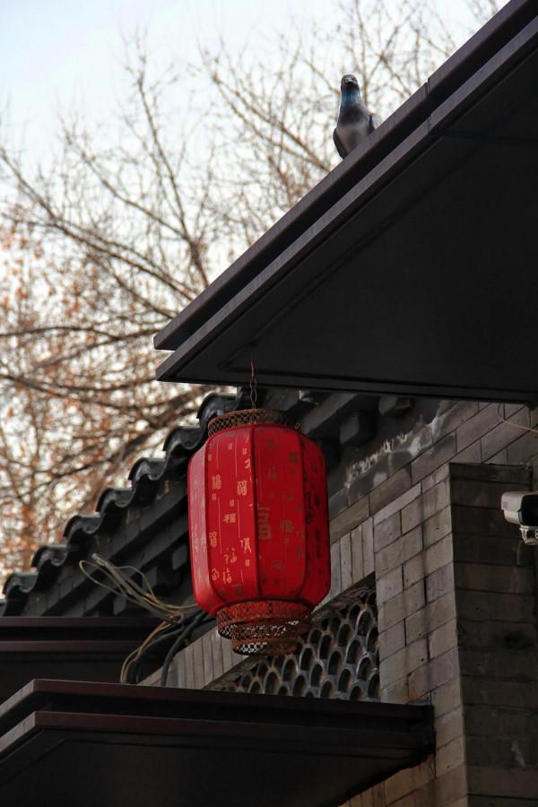 網紅打卡地老舍筆下的模式口