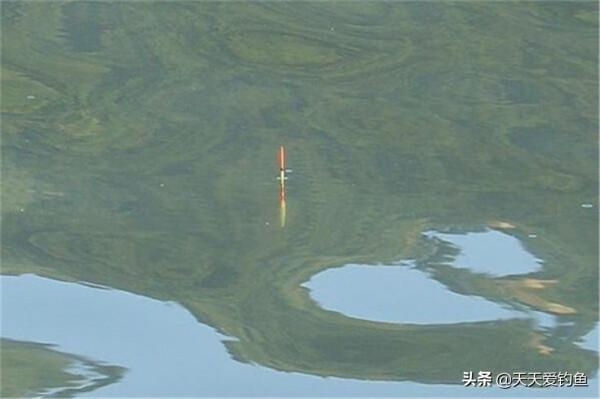 冬季釣魚,這6個“小”字概括了冬釣策略,連竿的秘訣就在這裡 冬季釣魚,這6個“小”字概括了冬釣策略,連竿的秘訣就在這裡