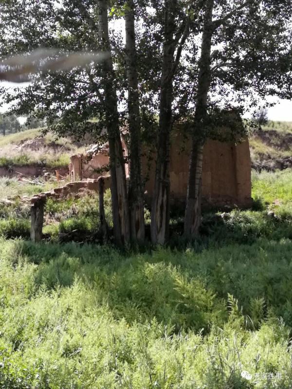 永不消失的大坡 永不消失的大坡