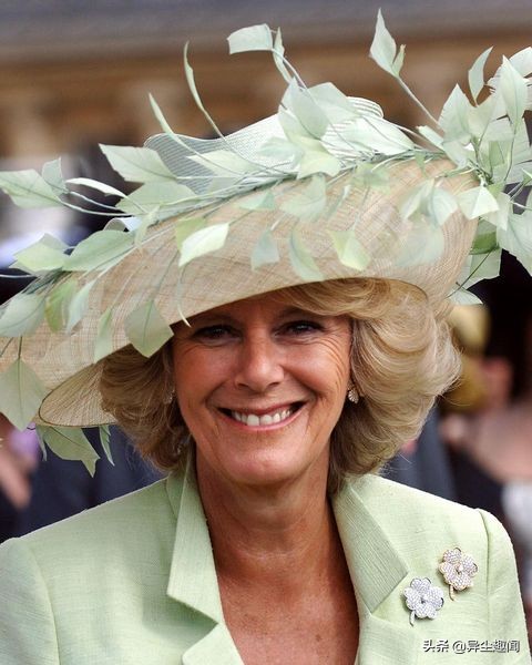 康沃爾公爵夫人卡米拉佩戴閃閃發光鑽石首飾的19張照片 康沃爾公爵夫人卡米拉佩戴閃閃發光鑽石首飾的19張照片