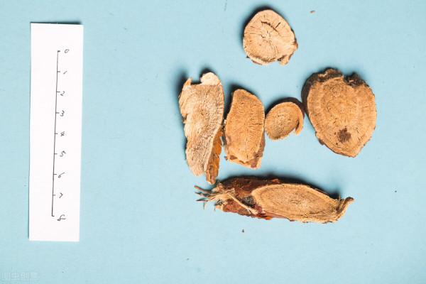 中醫：何首烏是“肝臟殺手”？中藥吃不對，小心肝損傷