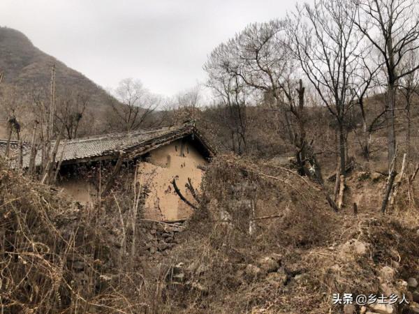 明日立冬,有啥說法?俗語:“立冬送營室,老牛不相送”,啥意思 明日立冬,有啥說法?俗語:“立冬送營室,老牛不相送”,啥意思