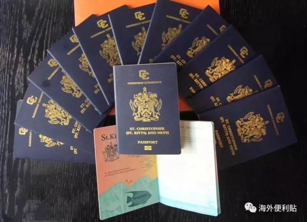 小小的護照，大大的學問