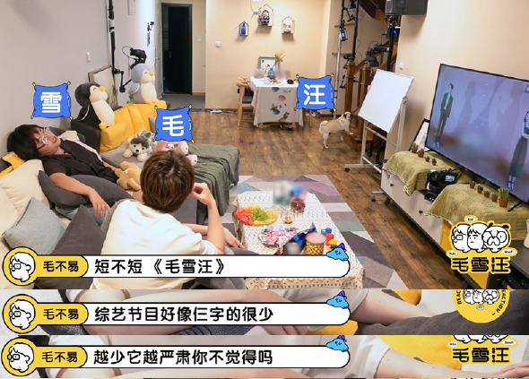 毛不易、李雪琴新綜藝開播，“兩人一狗”慢綜來襲，你值得擁有