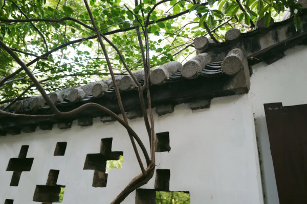 傍晚的贛州古浮橋，是我今年看過最美的畫面