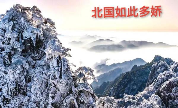 司馬南出生於東北，東北的雪景實在是美