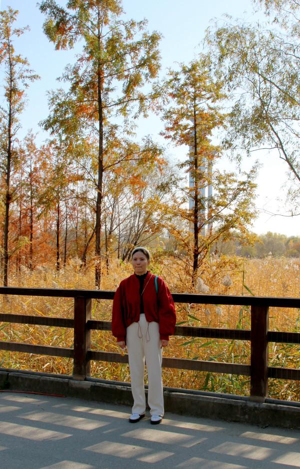 去奧森公園，盡享“京”彩秋色 #秋日好時光##小生活，大財富#