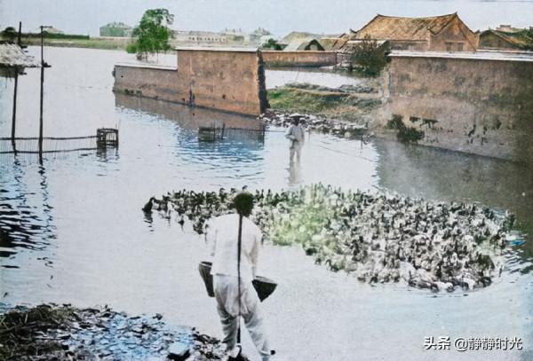 晚清老照片:老農到處拾糞,孔子後代與洋人喝酒,寶劍比人還要高 晚清老照片:老農到處拾糞,孔子後代與洋人喝酒,寶劍比人還要高