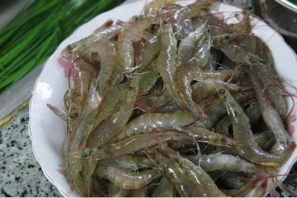 河蝦:30年前河裡多到成災,常撈來餵鴨,如今成稀罕貨,38元1斤 河蝦:30年前河裡多到成災,常撈來餵鴨,如今成稀罕貨,38元1斤