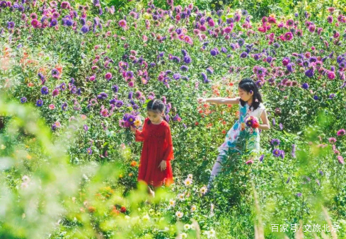 暢遊京郊｜初秋花海、綠野碧波、古城美食……來這裡盡享初秋之美吧