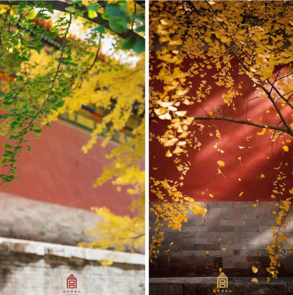 美到不像人間！憑實力驚豔外媒，最夢幻的雪域，旅行者此生必去