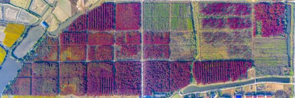 驚豔！孝感新一輪網紅打卡地——陡崗鎮袁湖村