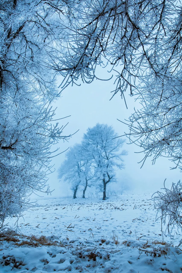 兩年以前，我們說走就能走，可以去任何想去的地方
