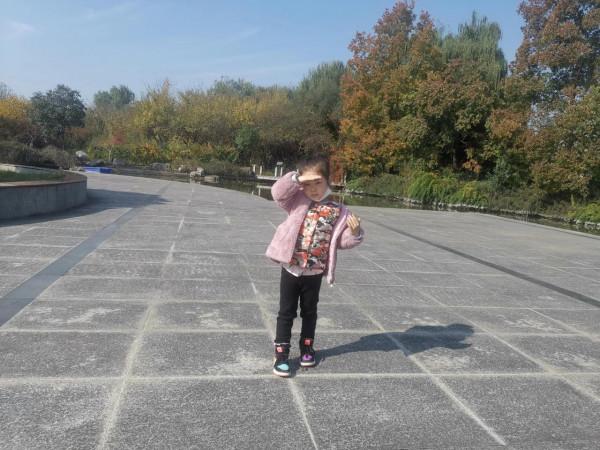 深秋的蝴蝶 深秋的蝴蝶