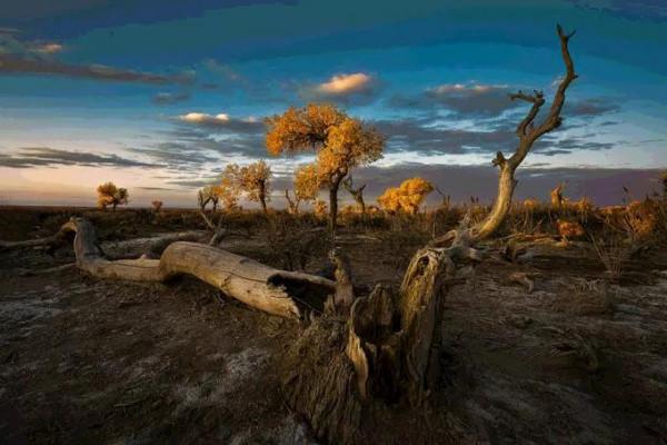 跟著秋天，去新疆