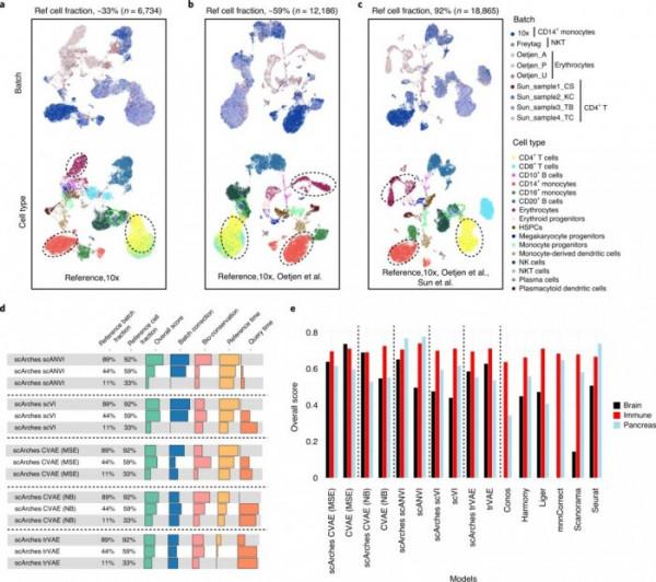 藉助AI，科學家可在人類細胞圖譜中更快找到某個病變細胞