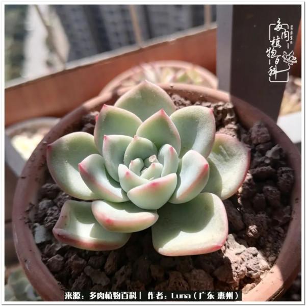 學會和解:與自己、與他人、與世界 學會和解:與自己、與他人、與世界