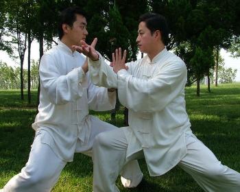 太極推手“要點不要面”指哪些“點”？