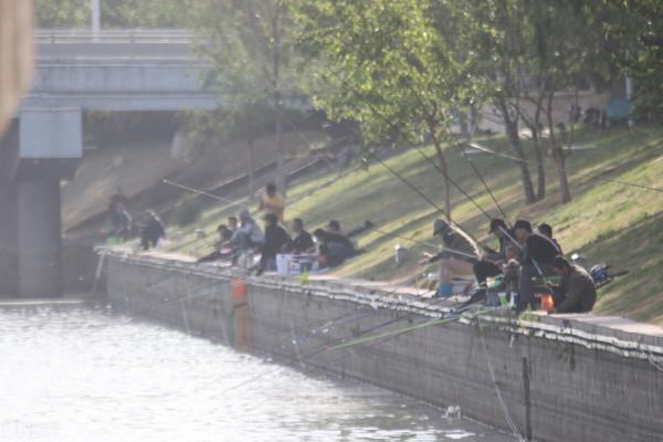 別人不會告訴你的！垂釣大板鯽魚的時候真到了！核心就是這3點