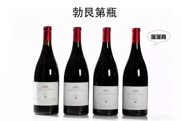 一瓶形一類酒，世界經典葡萄酒瓶大盤點