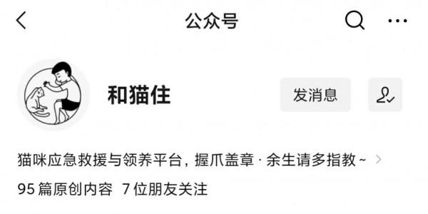 上班族如何選貓,那些我花了數千元總結的教訓 上班族如何選貓,那些我花了數千元總結的教訓