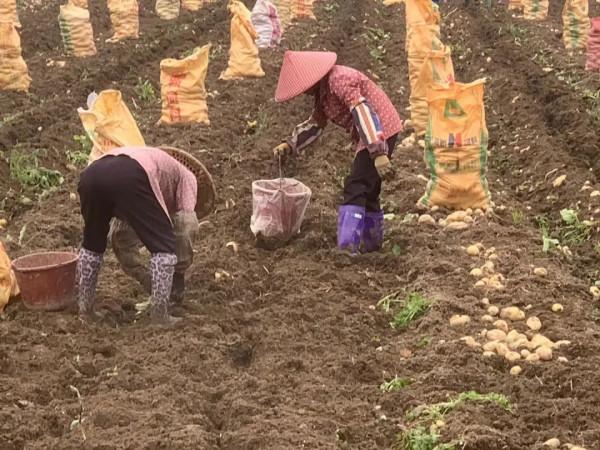 朋友圈2022年第7期｜&vert;好山好水