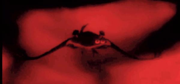 深度解讀《EVA 新世紀福音戰士》永遠的神作-第二章：天使之戰