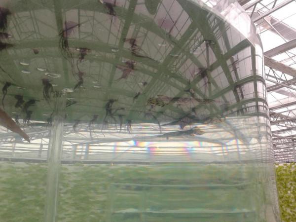 五彩田園，美麗的田園