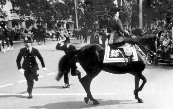 1981年，55歲的英女王側身騎馬英姿颯爽，被一名17歲少年射了6槍
