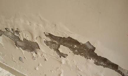 農村建房牆面為何會返鹼?搞清楚返鹼原因,三個方法可預防 農村建房牆面為何會返鹼?搞清楚返鹼原因,三個方法可預防