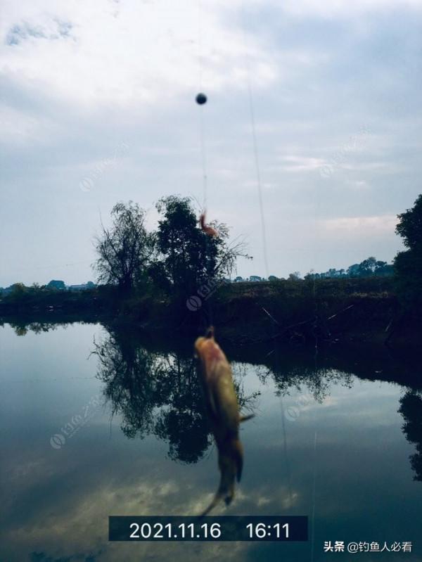 老漢錦囊獻妙計，專治冬天封竿人