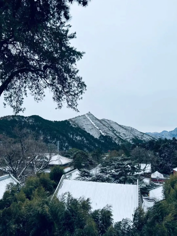 門城一夜雪，萬山披銀裝！