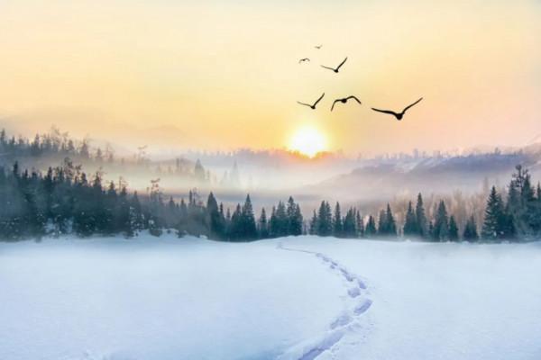 2021的最後一天：用一句詩詞總結你的2021，你會用哪一句？