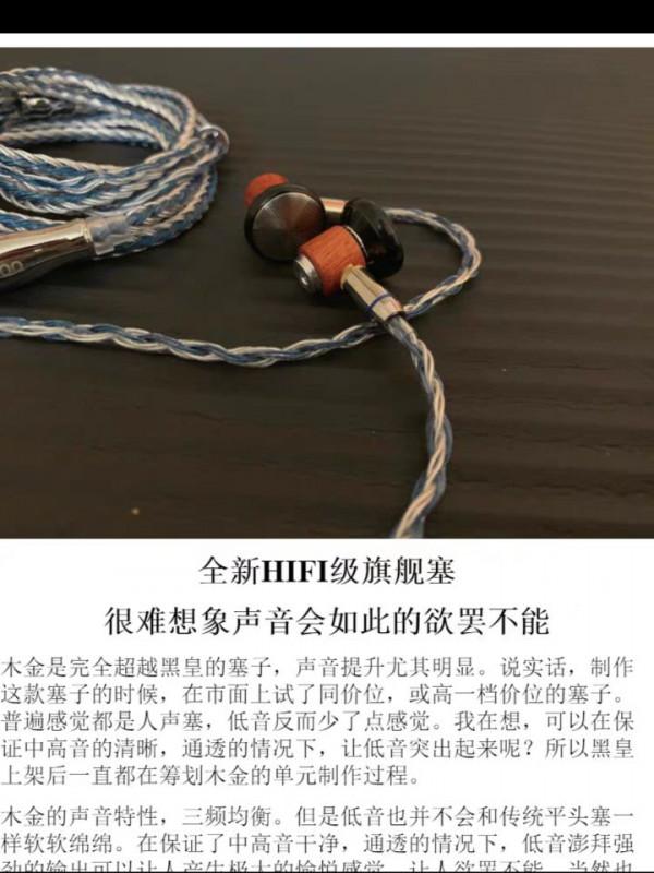 平頭塞和入耳式耳機 平頭塞和入耳式耳機