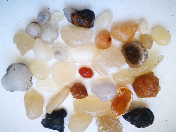 撿瑪瑙,來內蒙古火山草原,讓你撿得不想回家 撿瑪瑙,來內蒙古火山草原,讓你撿得不想回家