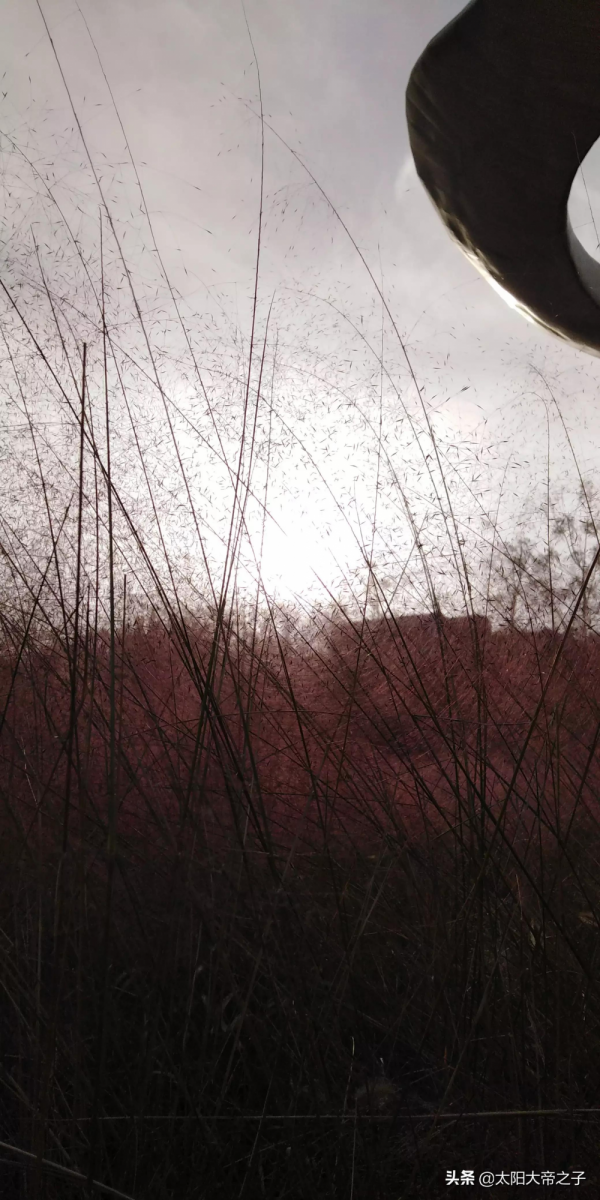 那些崇洋媚外的人