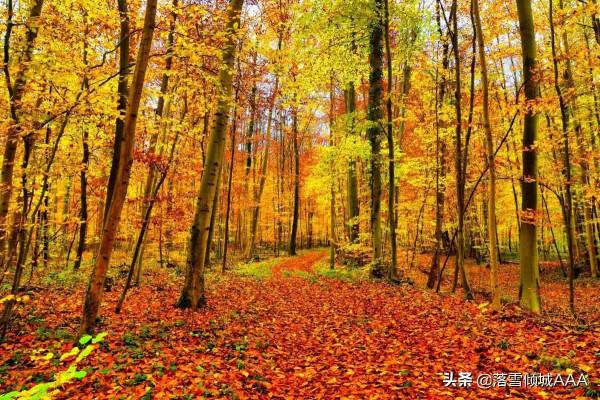 大清奇案錄:兒子無故失蹤,老父狀告兒媳,按察使重審,破解謎題 大清奇案錄:兒子無故失蹤,老父狀告兒媳,按察使重審,破解謎題